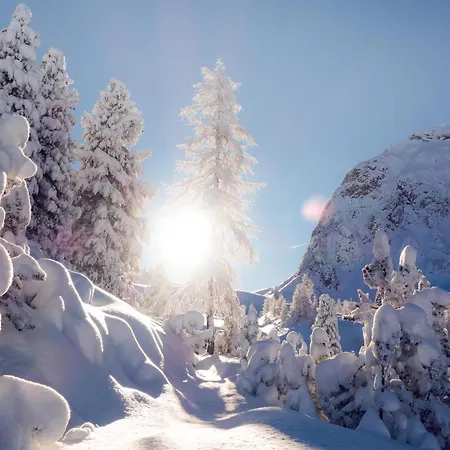 Casa vacanze In Tyrol Near Lift